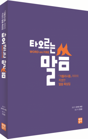 생활성서사 인터넷서점타오르는 말씀 / 생활성서사『가톨리시즘』저자의 특별한 말씀 묵상집도서 > 영성,묵상,강론 > 묵상